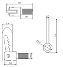 2 x Antiluce Fastener M12 x 25mm with Eye Plates - Drop Catch Tail Gate